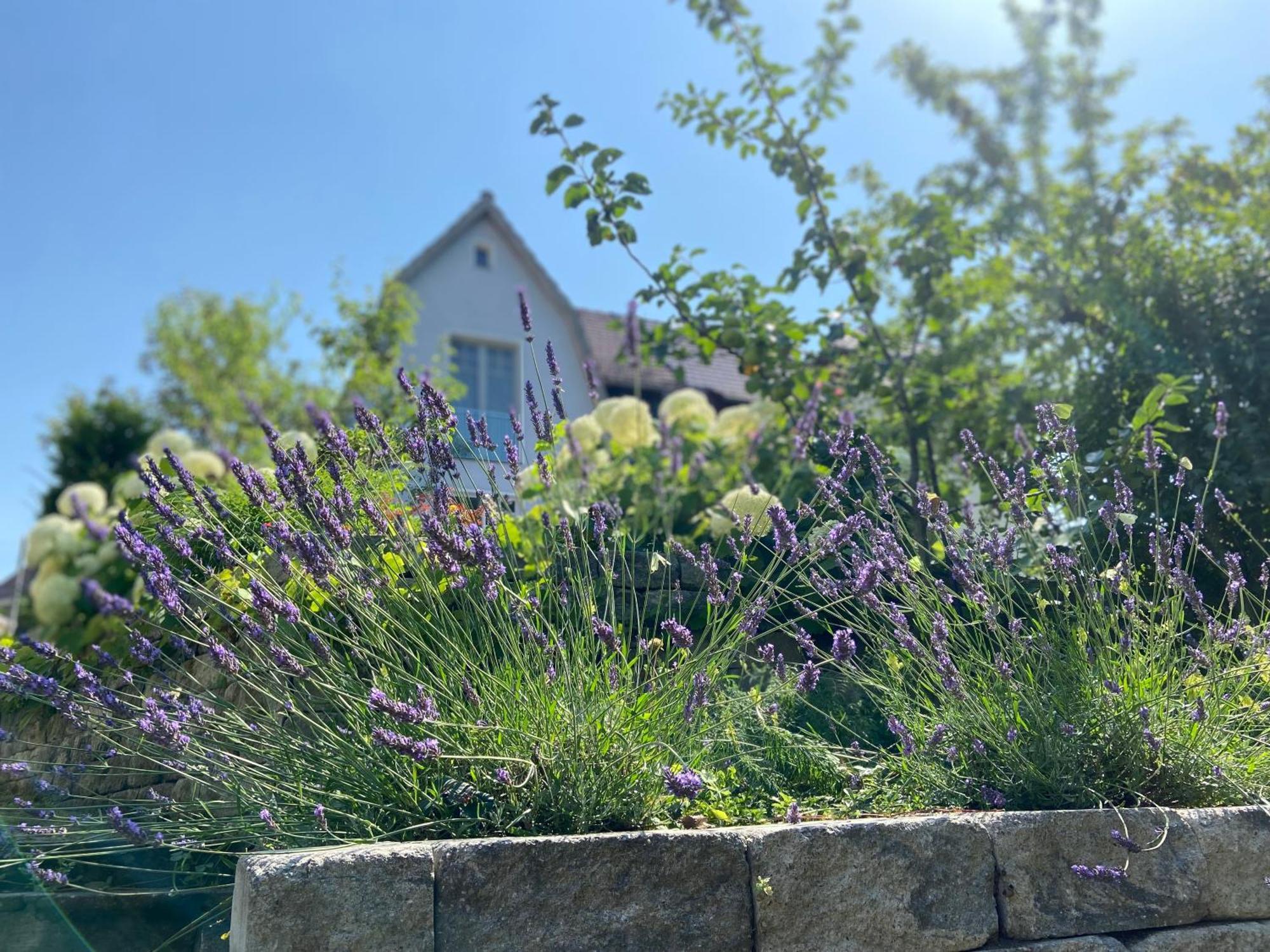 Romantik Idyll Am Tiefental Konigsbruck 외부 사진