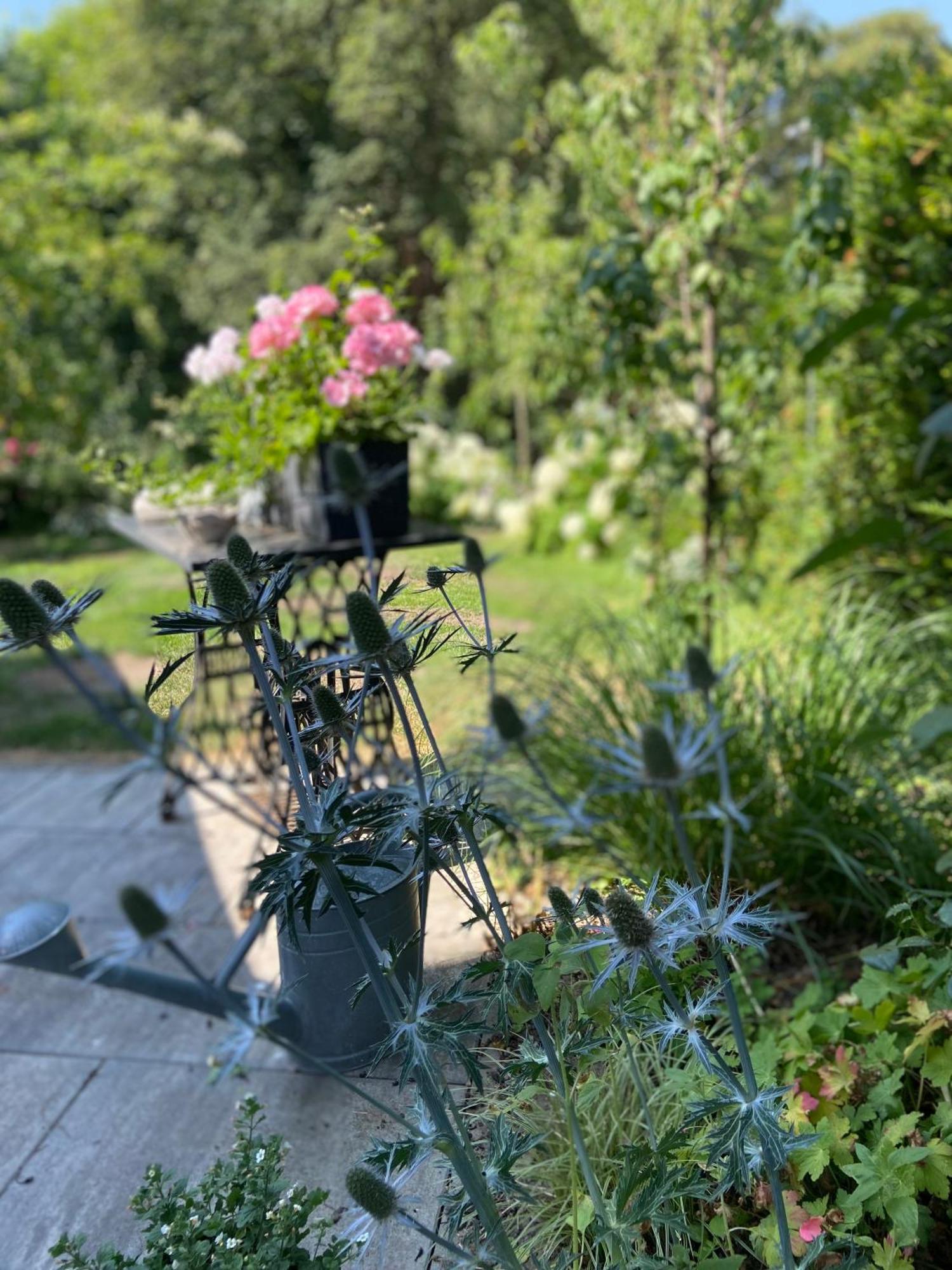 Romantik Idyll Am Tiefental Konigsbruck 외부 사진